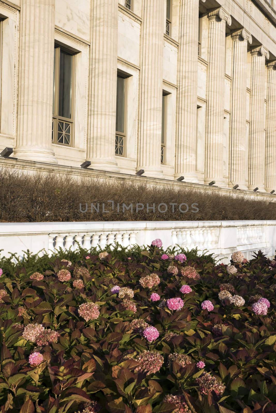 Flowers and Columns by benkrut