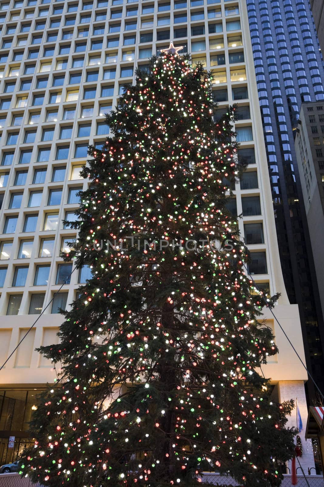 Christmas Tree in downtown Chicago