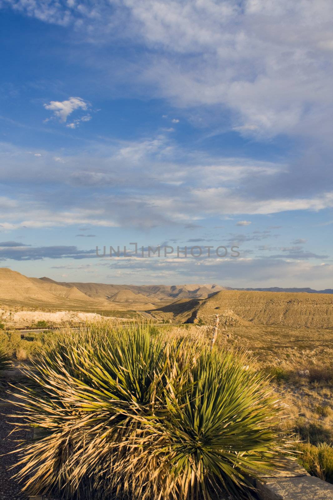 Landscape of Guadelupe Mountains National Park in New Mexico.