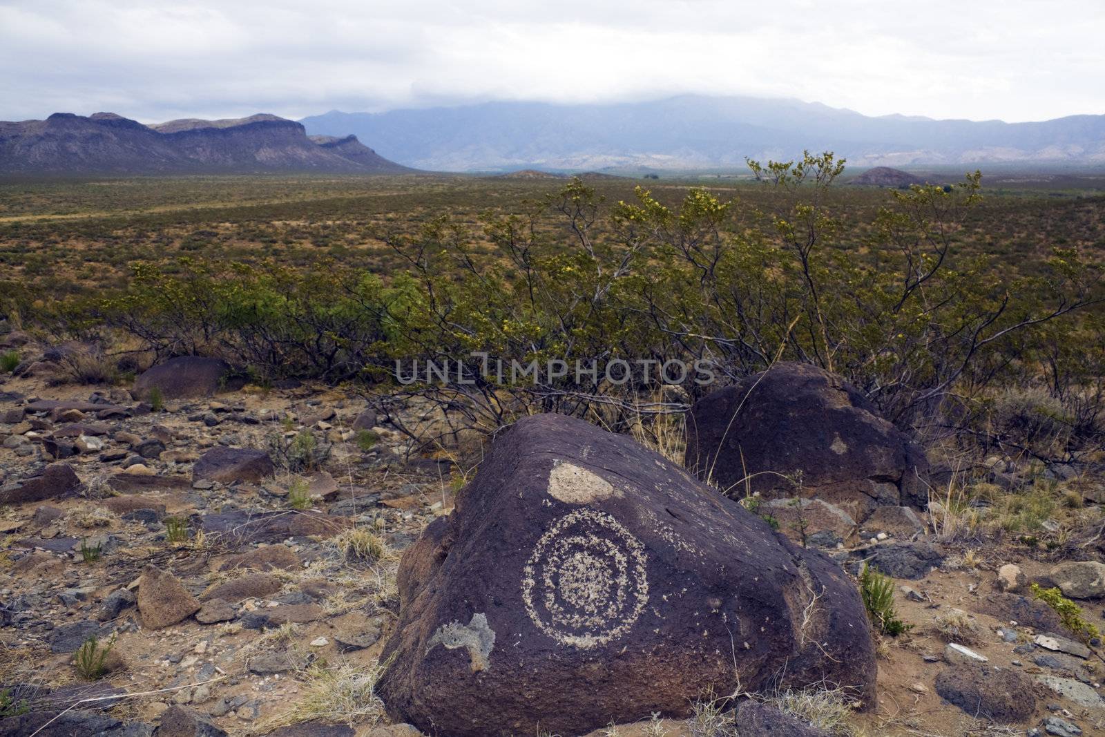 Three Rivers Petroglyph Site, New Mexico.