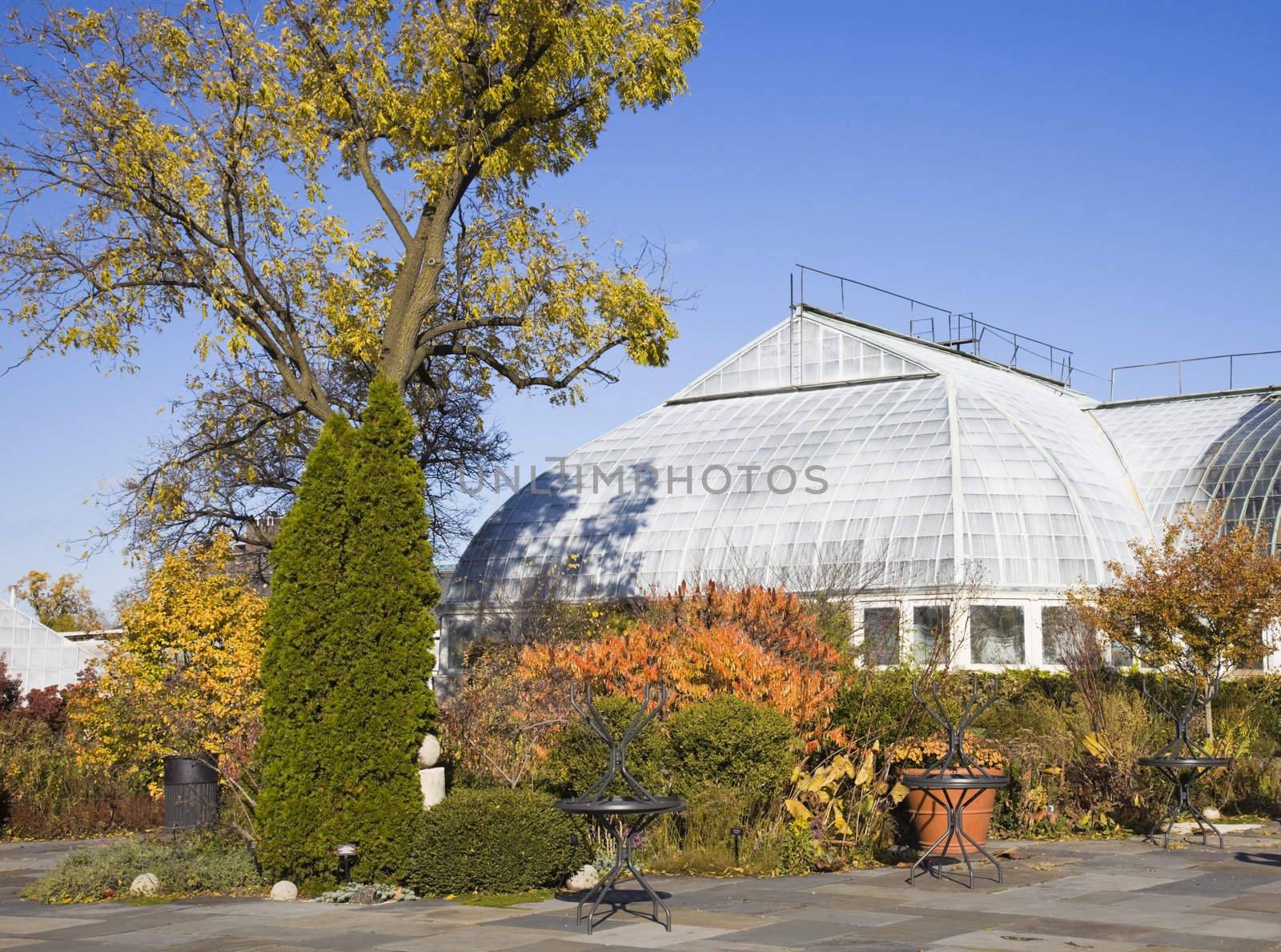 Garfield Park Conservatory in Chicago.