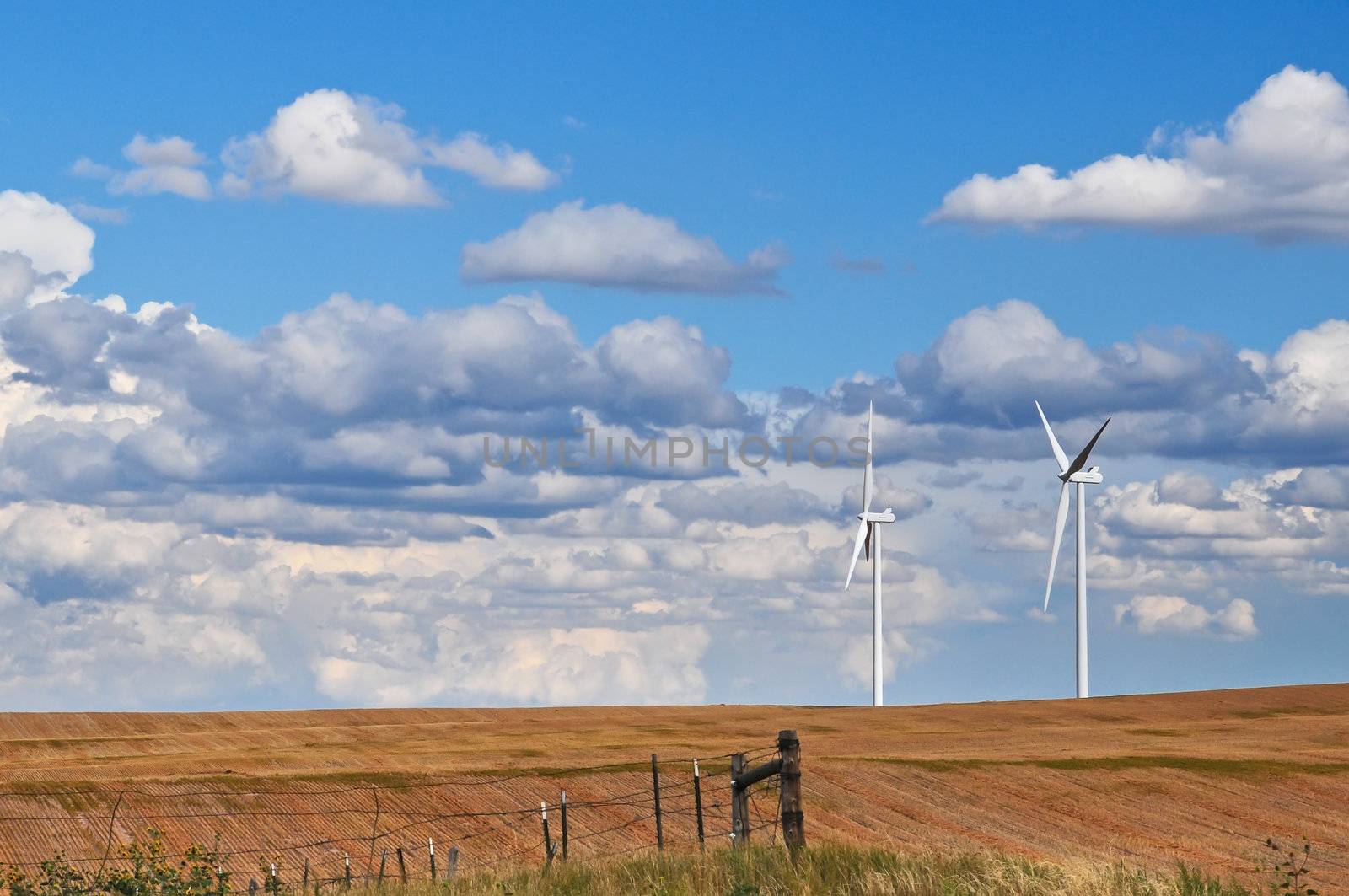 Wind turbines stand like friendly giants on the horizon against a beautiful blue and cloudy sky