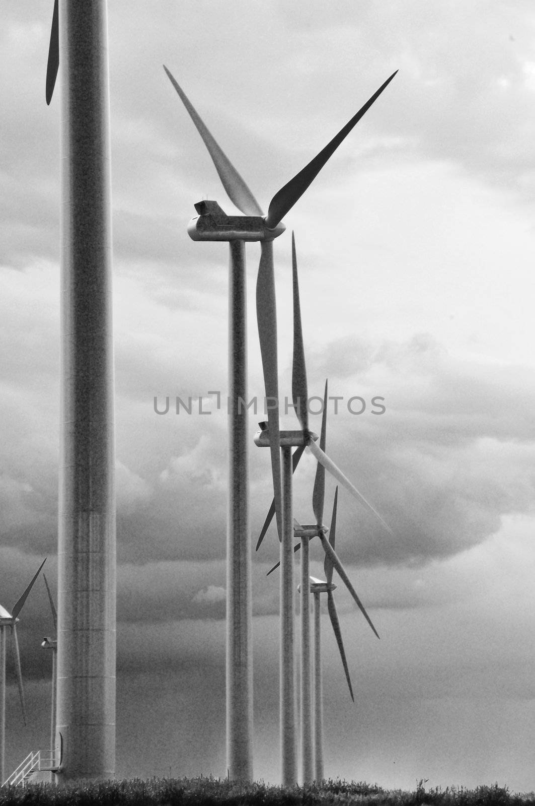 Row of wind turbines drying off after a rainstorm.