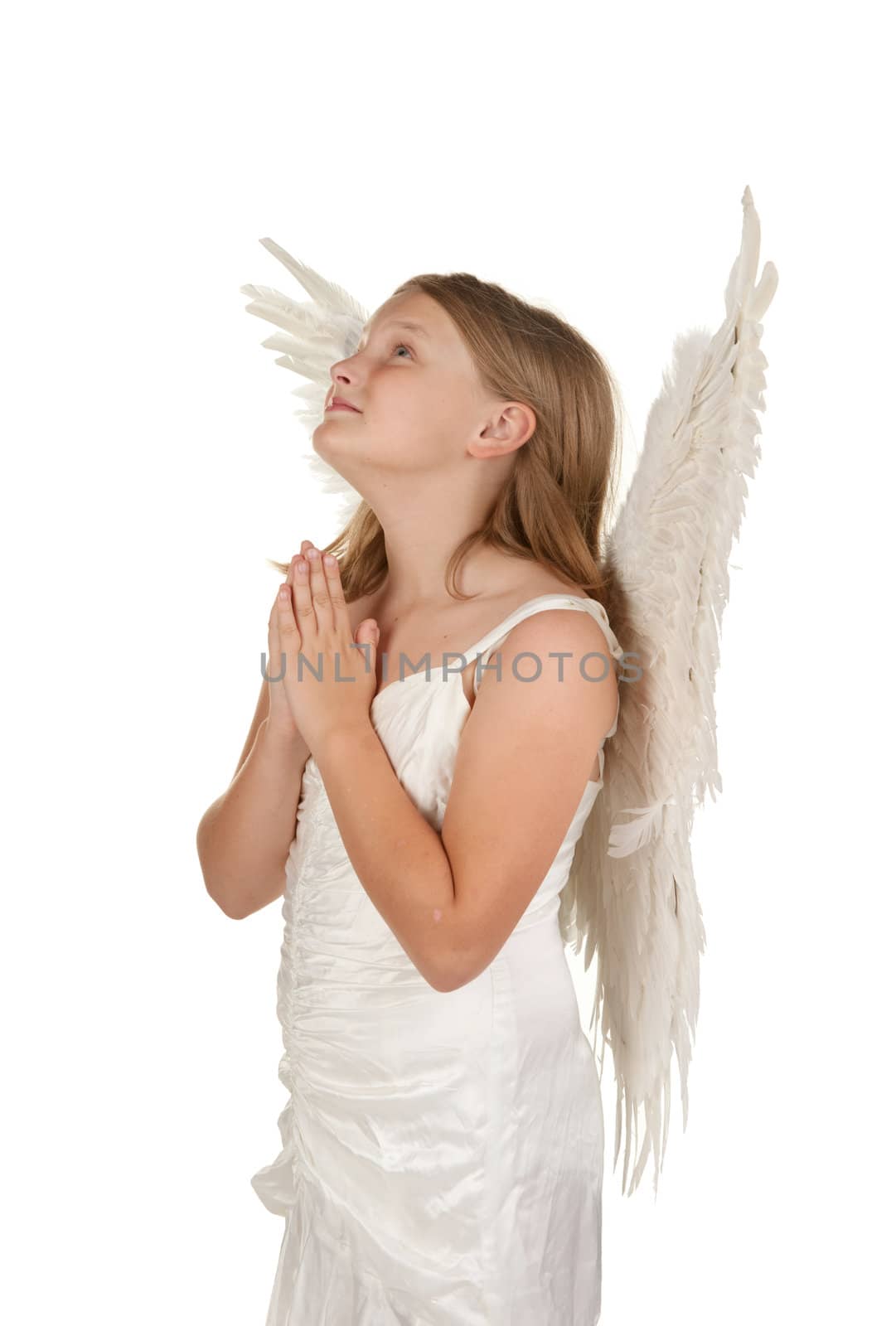 young angel girl praying isolated on white background