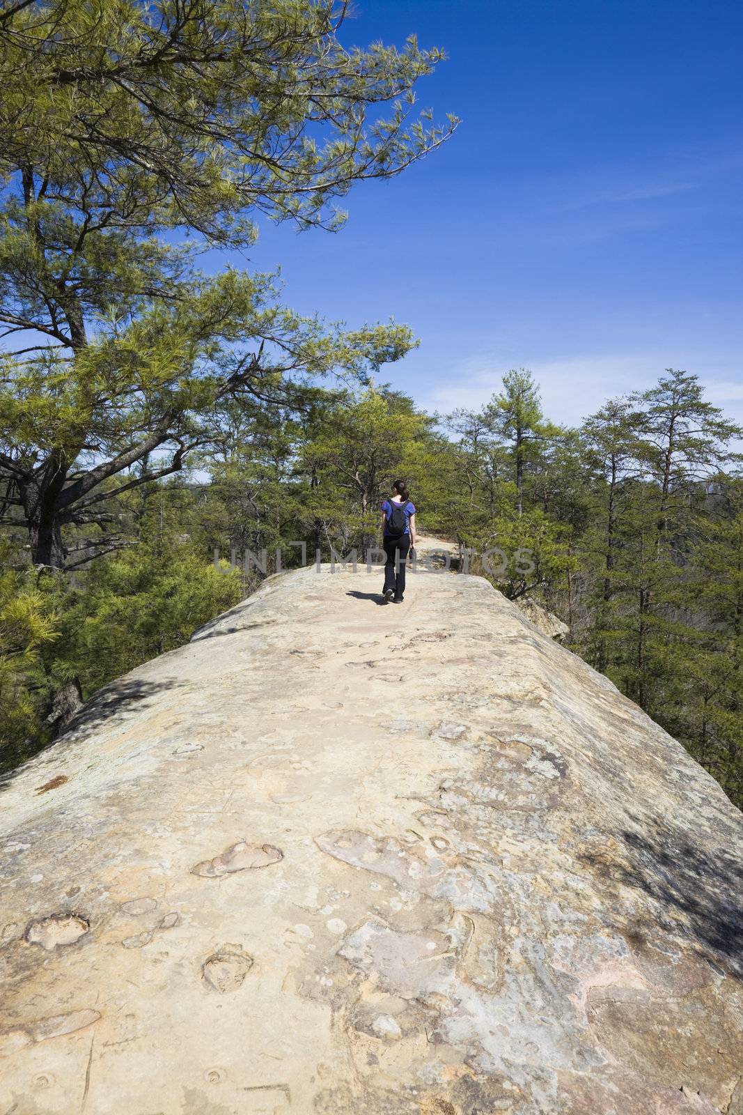 Tourist walking on the top natural bridge in Kentucky. Photo includes vandalism done by different kind of morons writing names on the rock.