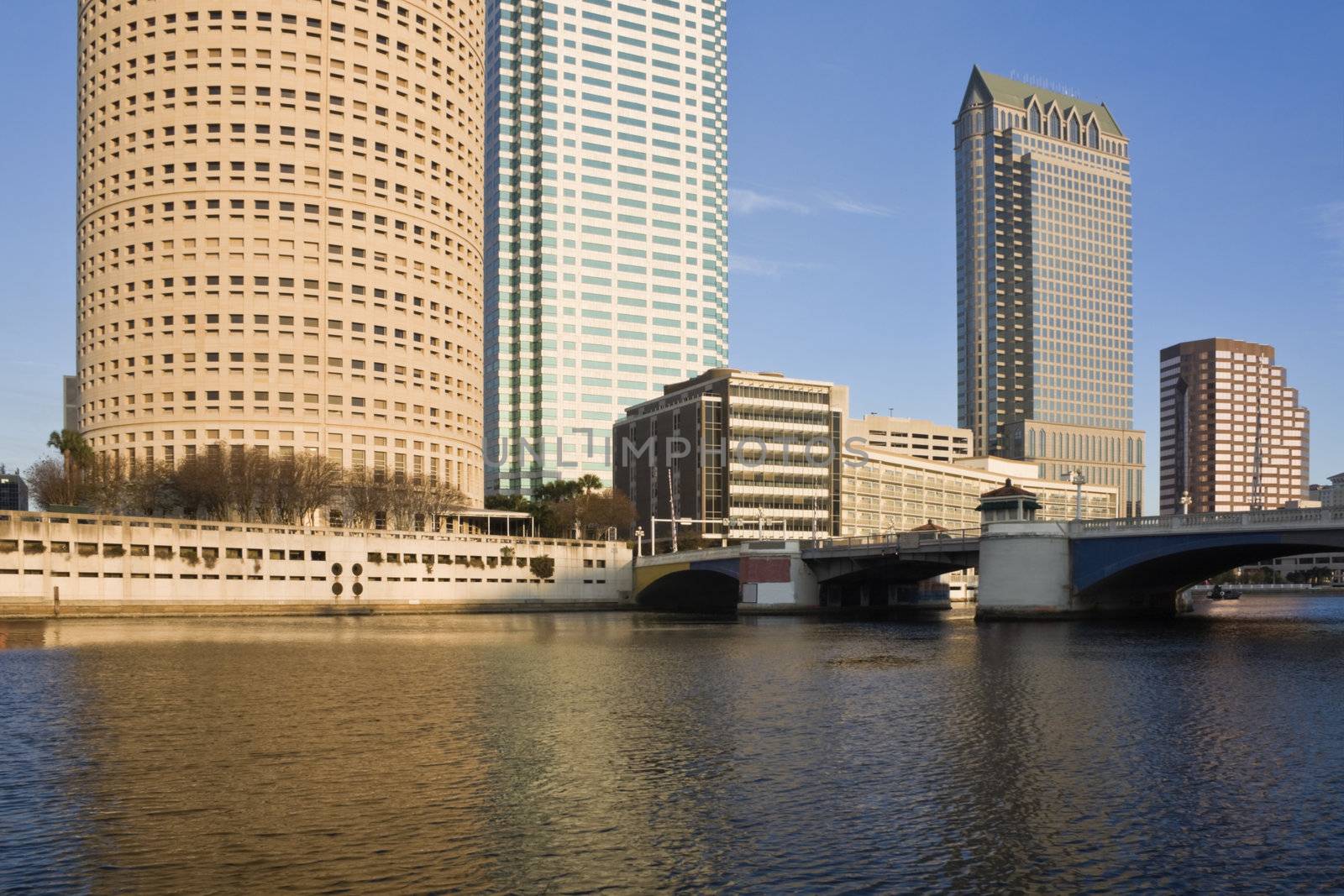 Buildings in Downtown Tampa, Florida.