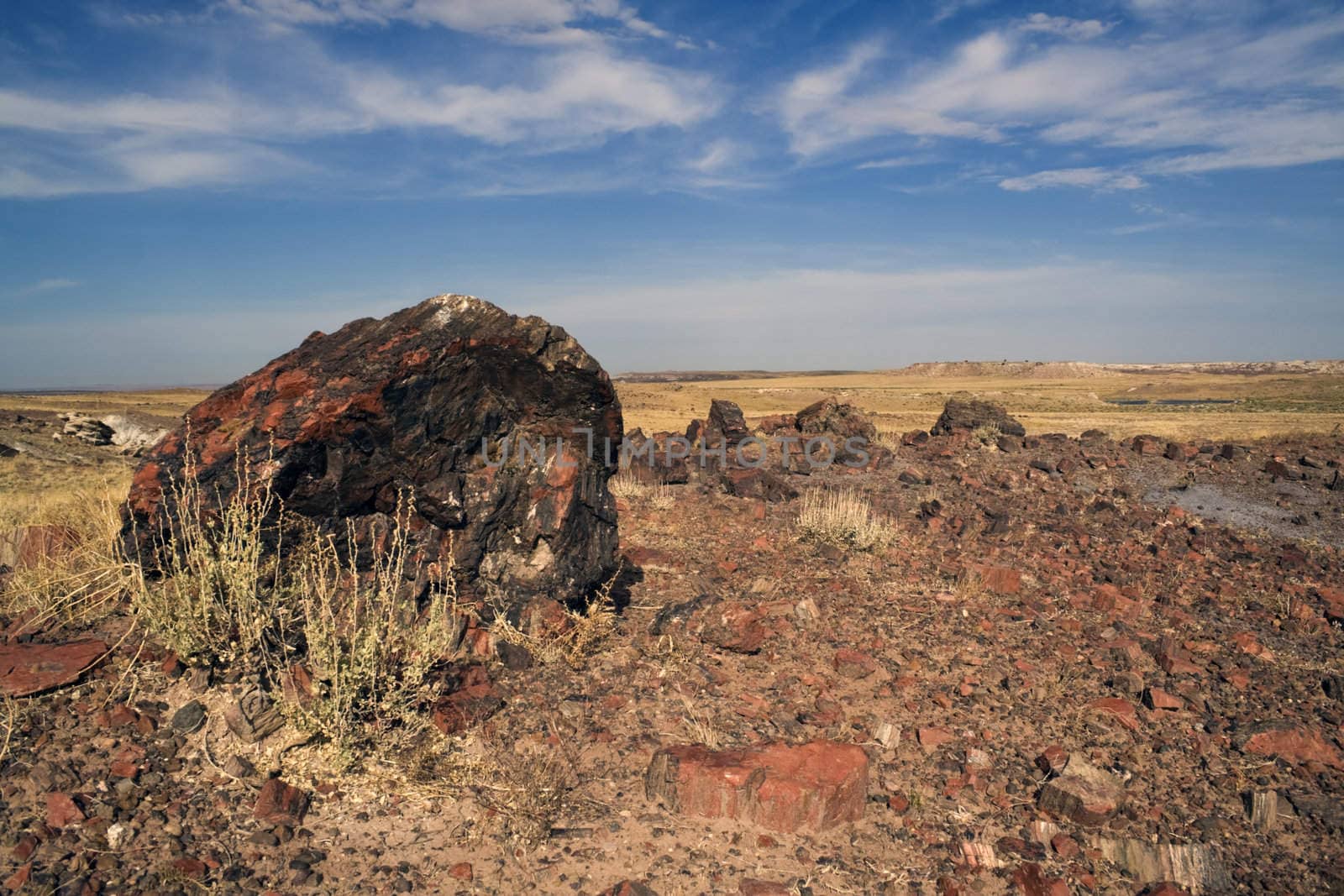 Petrified Forest National Park - Arizona.