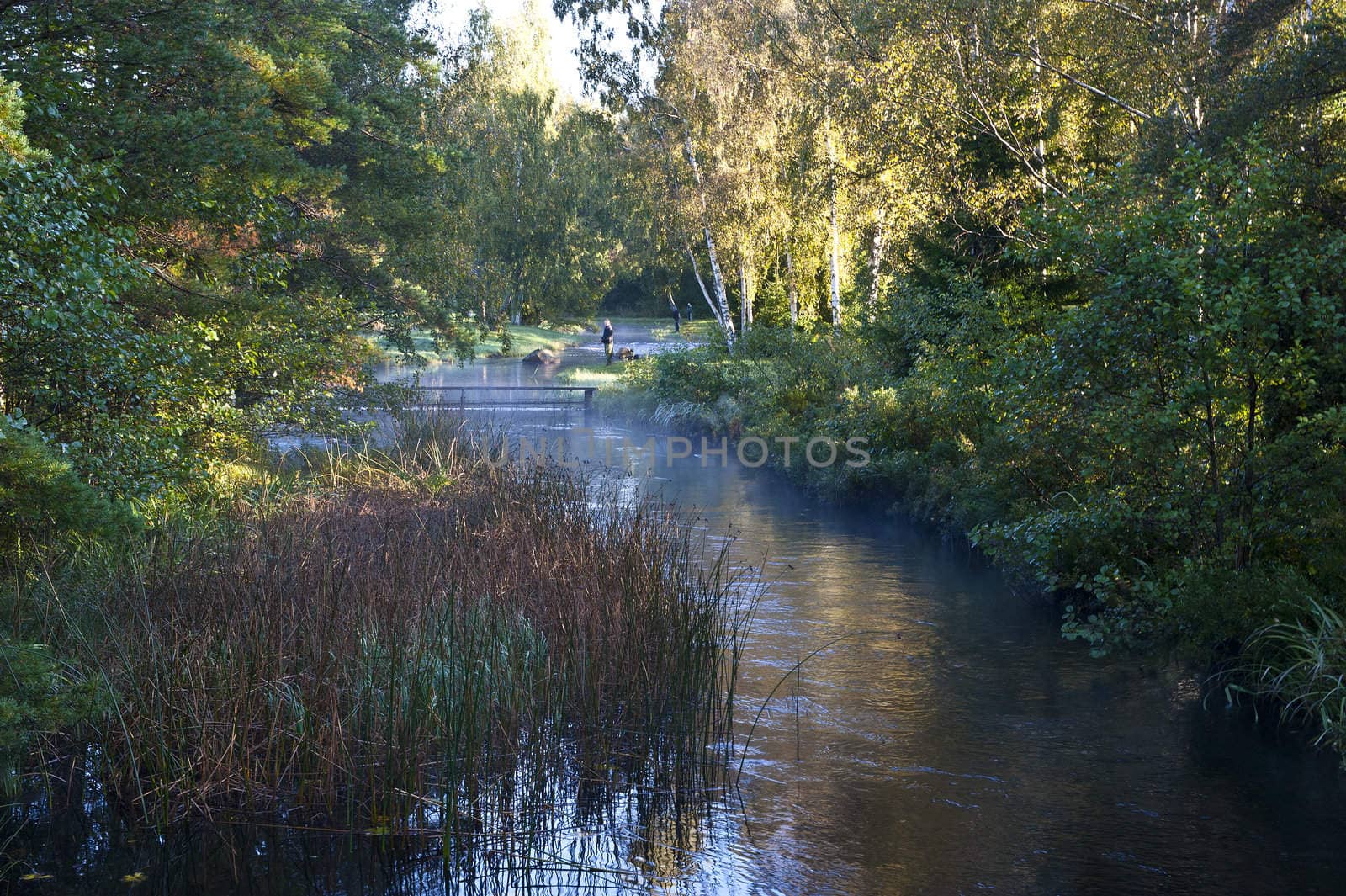Some guys fishing for salmon in a small stream an early autumn morning