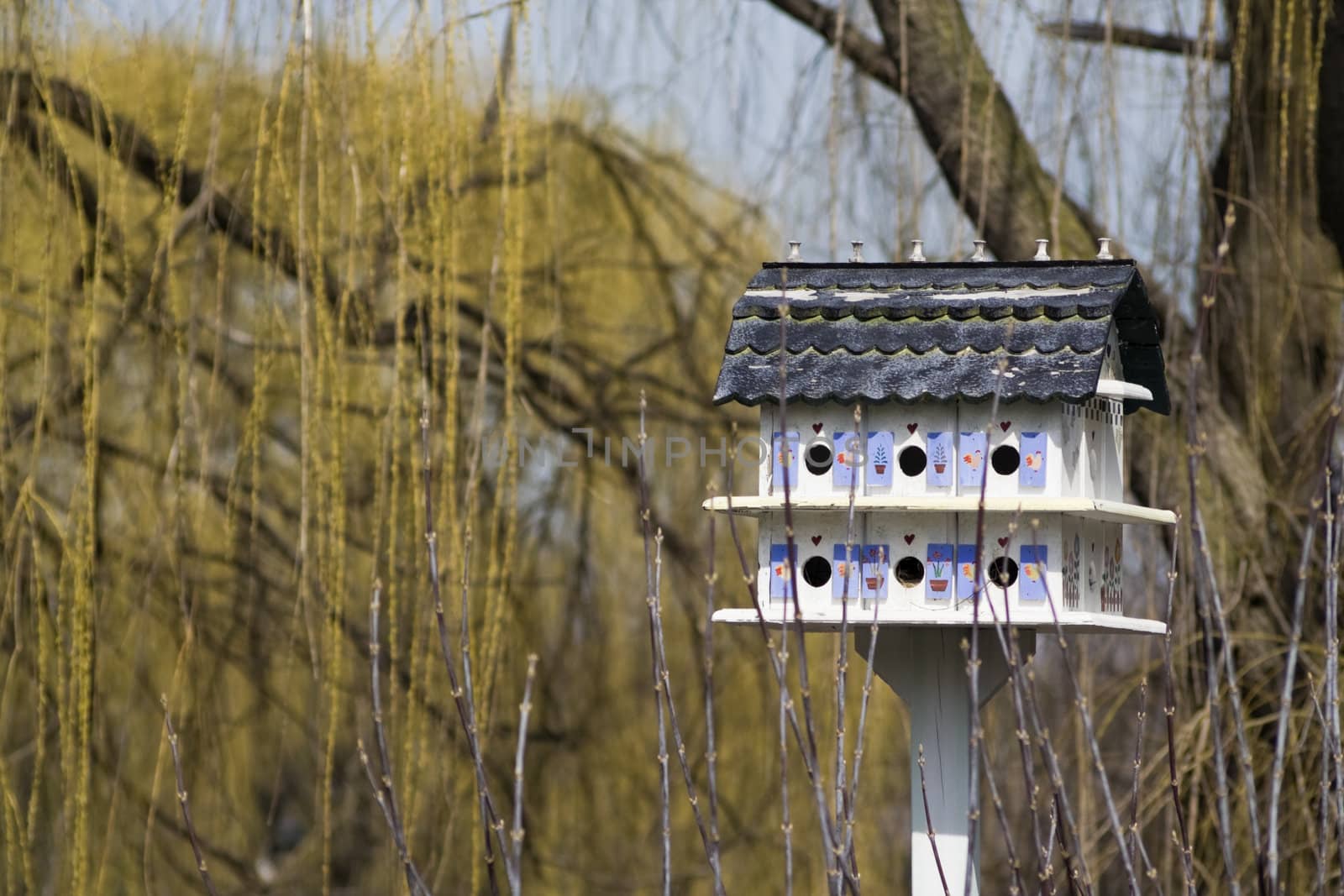 Pretty Birdhouse with willow in the background.