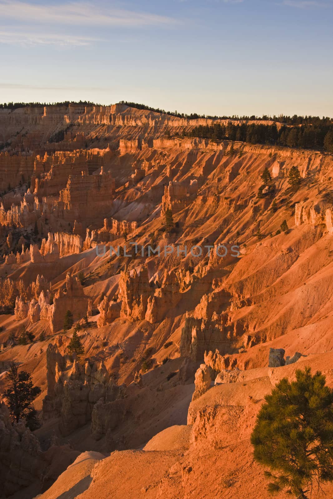 Panorama of Bryce National Park. by benkrut