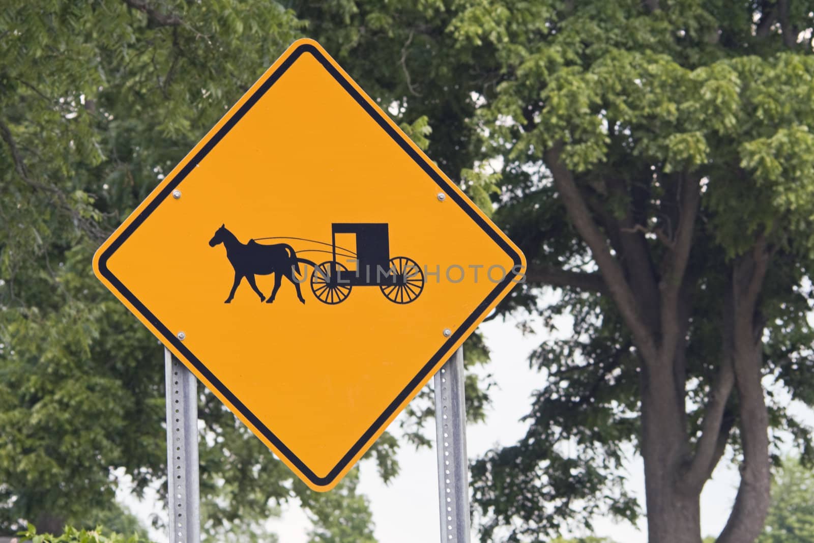 Careful! - Carriages... - seen in Michigan