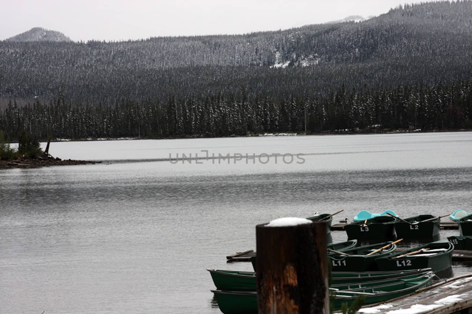 Winter at Olollie Lake, OR.  Photo taken in the Mount Hood National Forest, OR.
