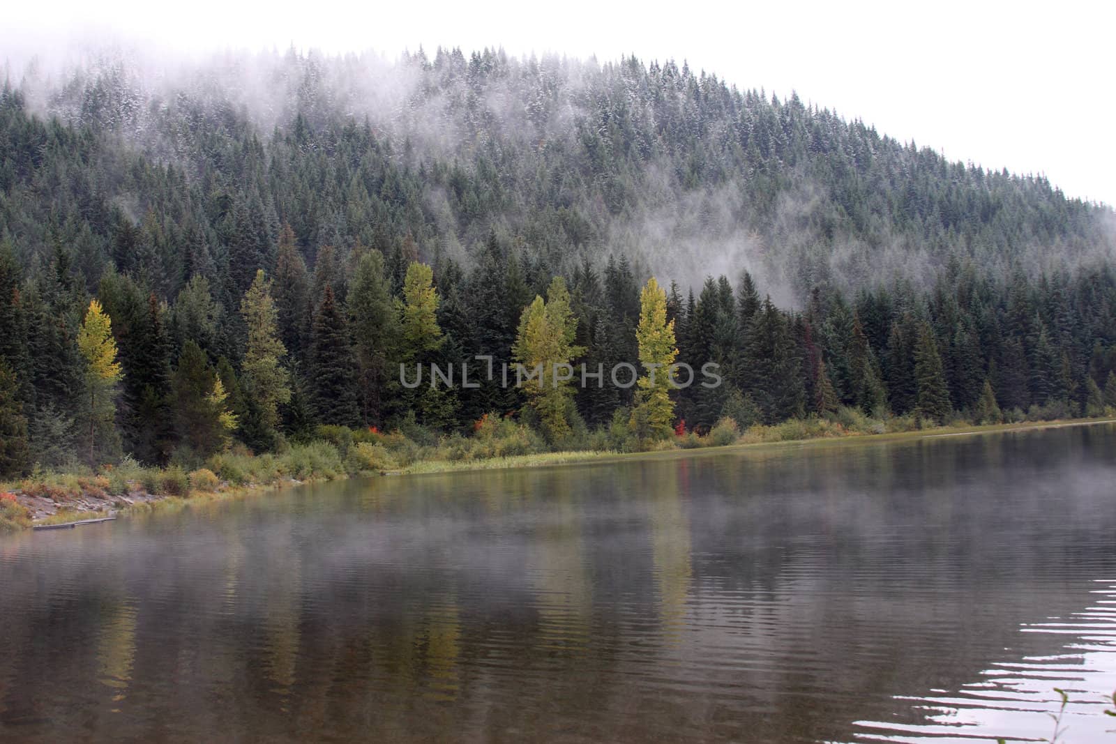 Reflection in Trillium Lake, OR.  Photo taken in the Mount Hood National Forest, OR.