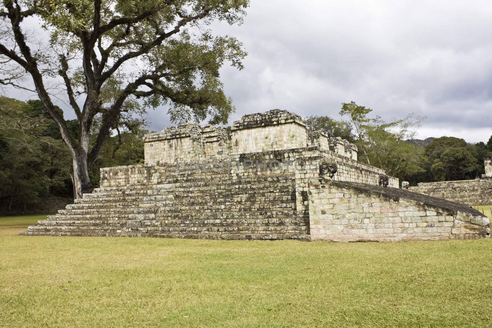 Stairs in ancient Copan by benkrut