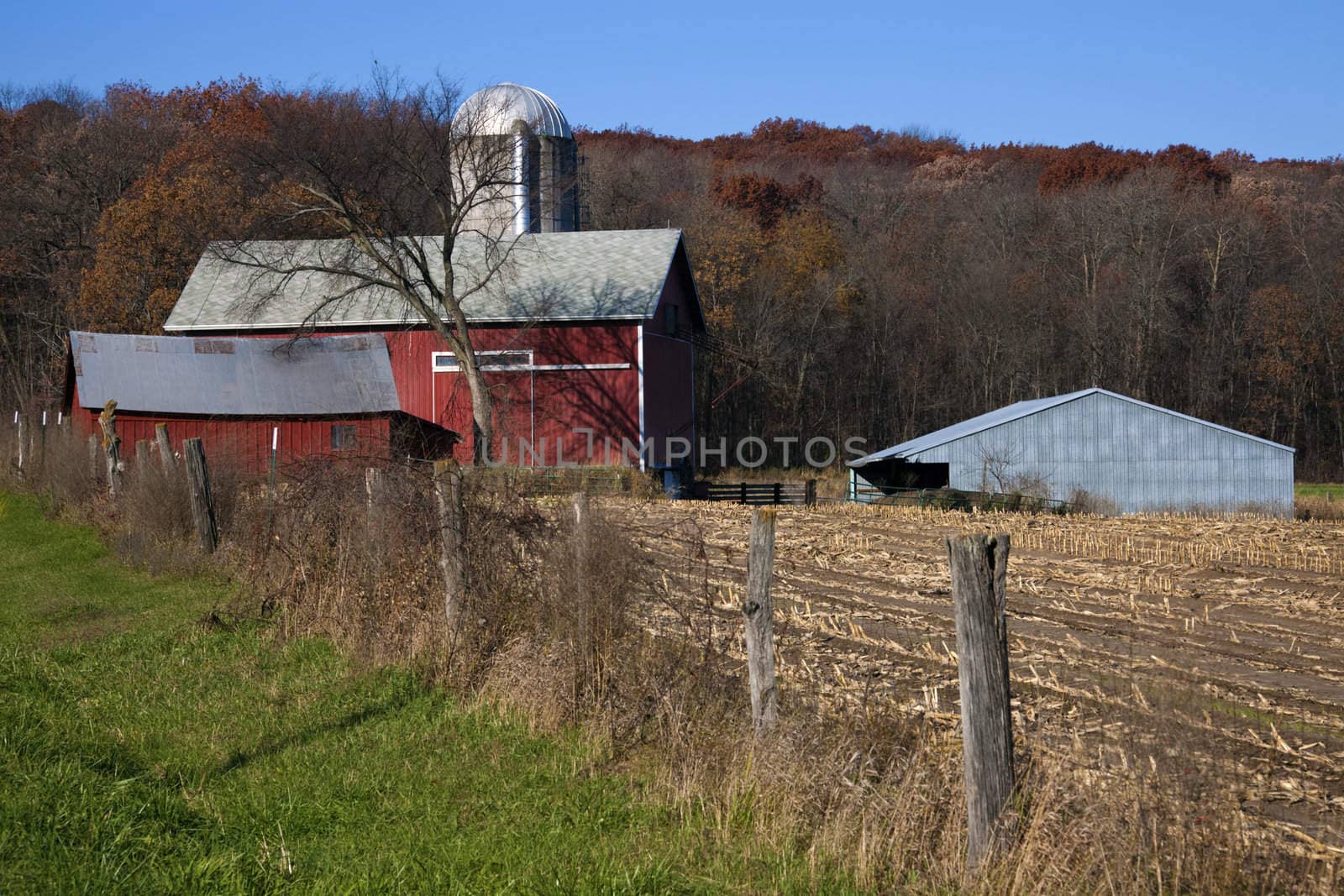 Red Farm fall time by benkrut