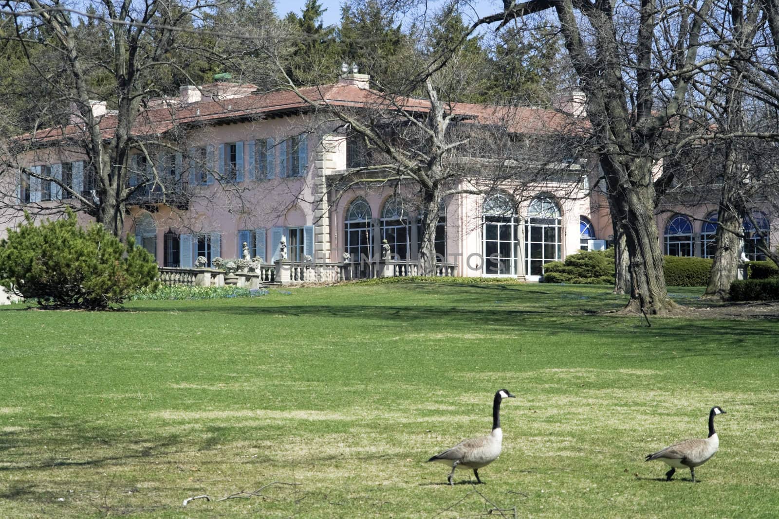 Cuneo Mansion  by benkrut