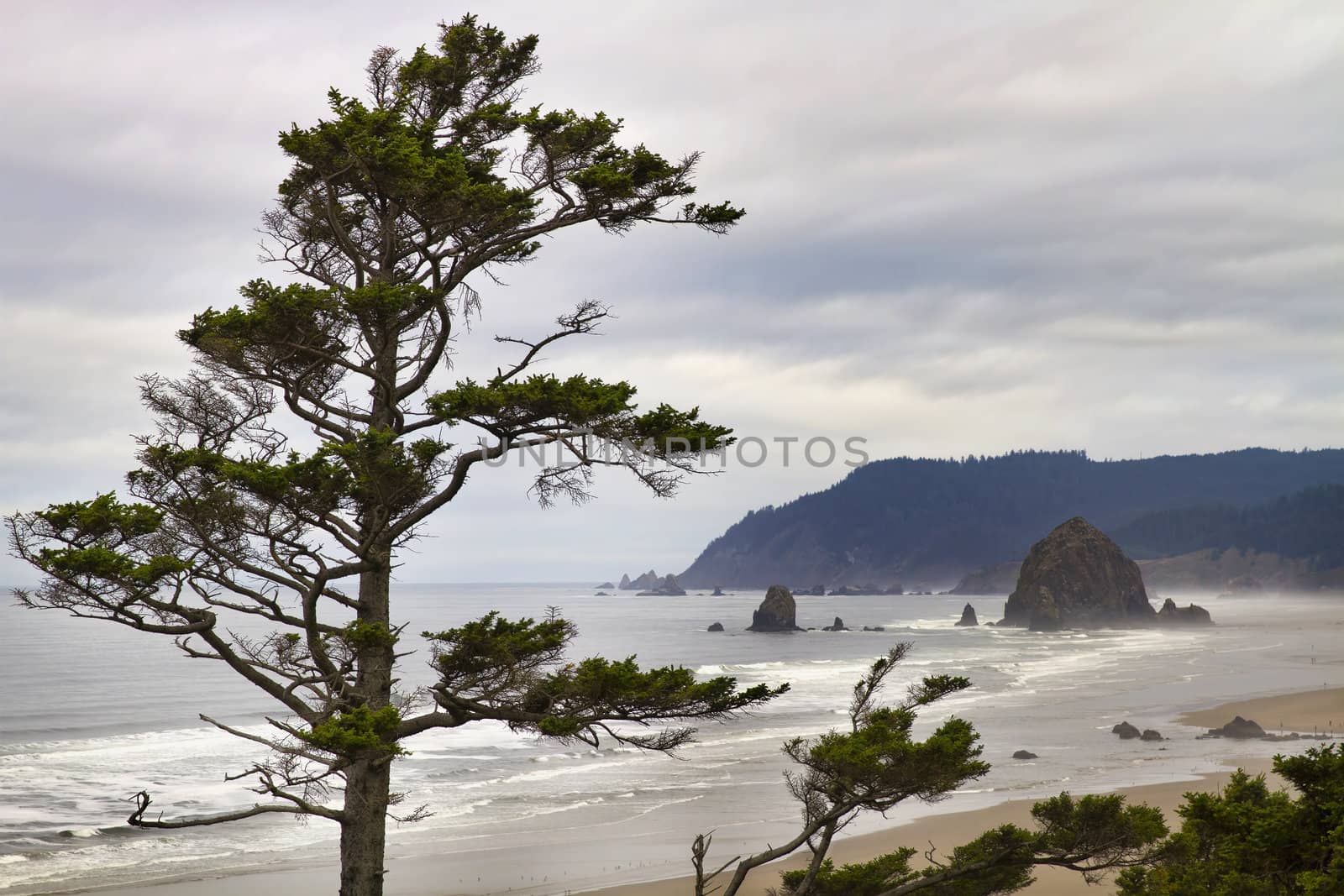 View of Haystack Rock one foggy morning from Tolovana Beach Oregon