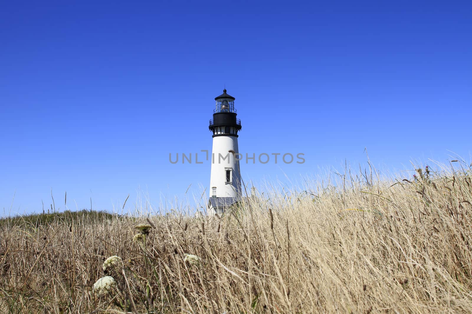 Yaquina Head Lighthouse against clear blue sky