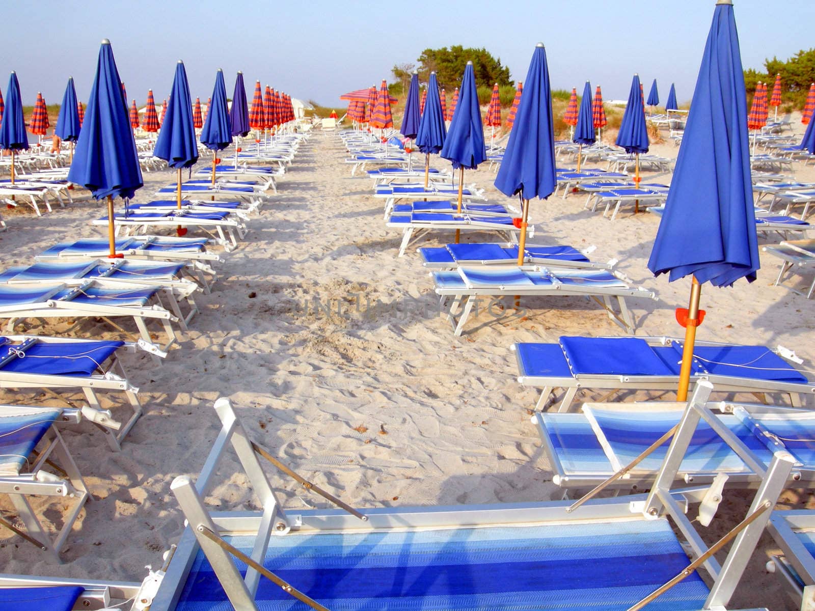 Shore with beach umbrella