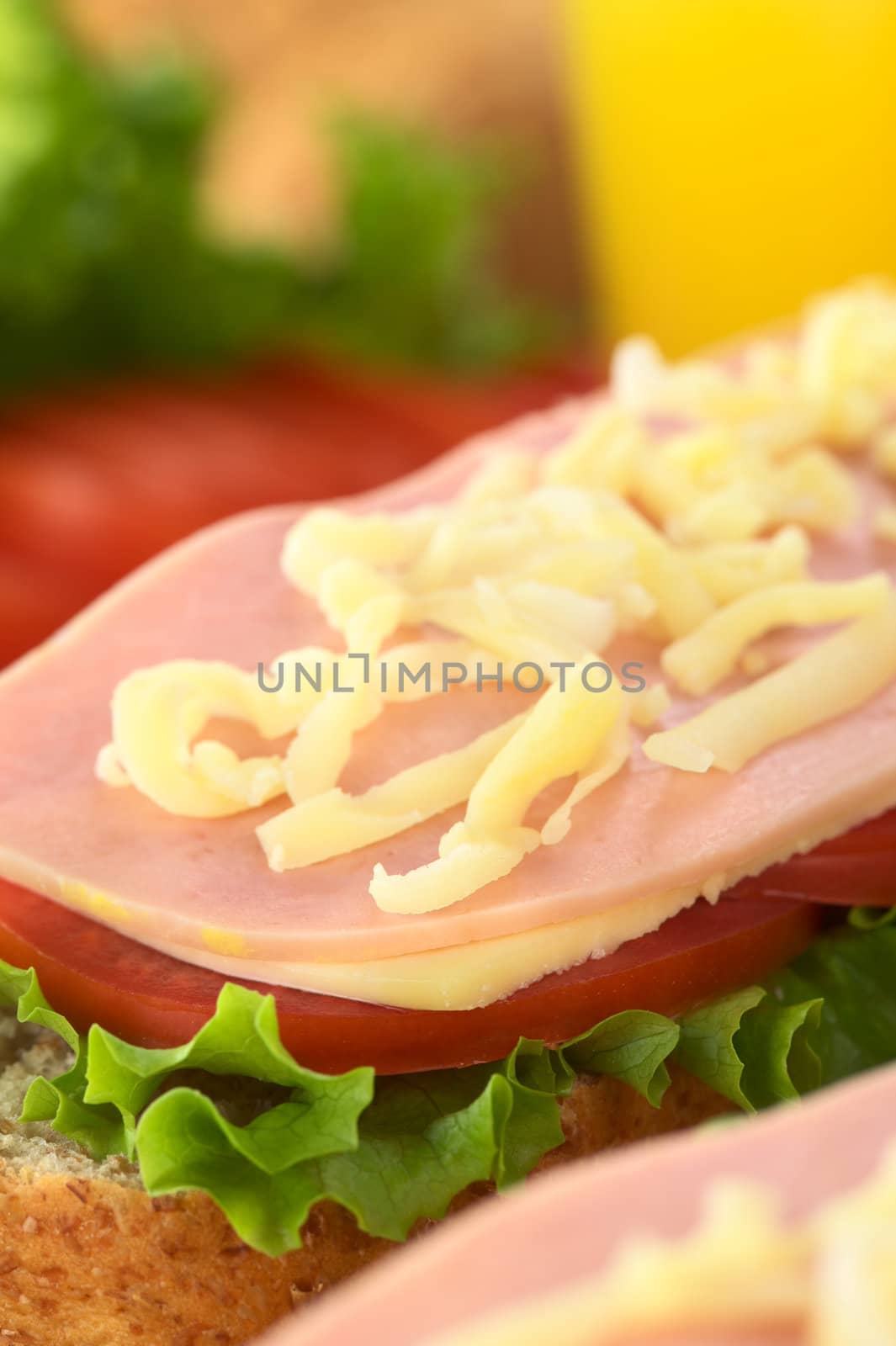 Open sandwich with lettuce, tomato, cheese, ham and grated cheese on top (Selective Focus, Focus on the front of the sandwich)