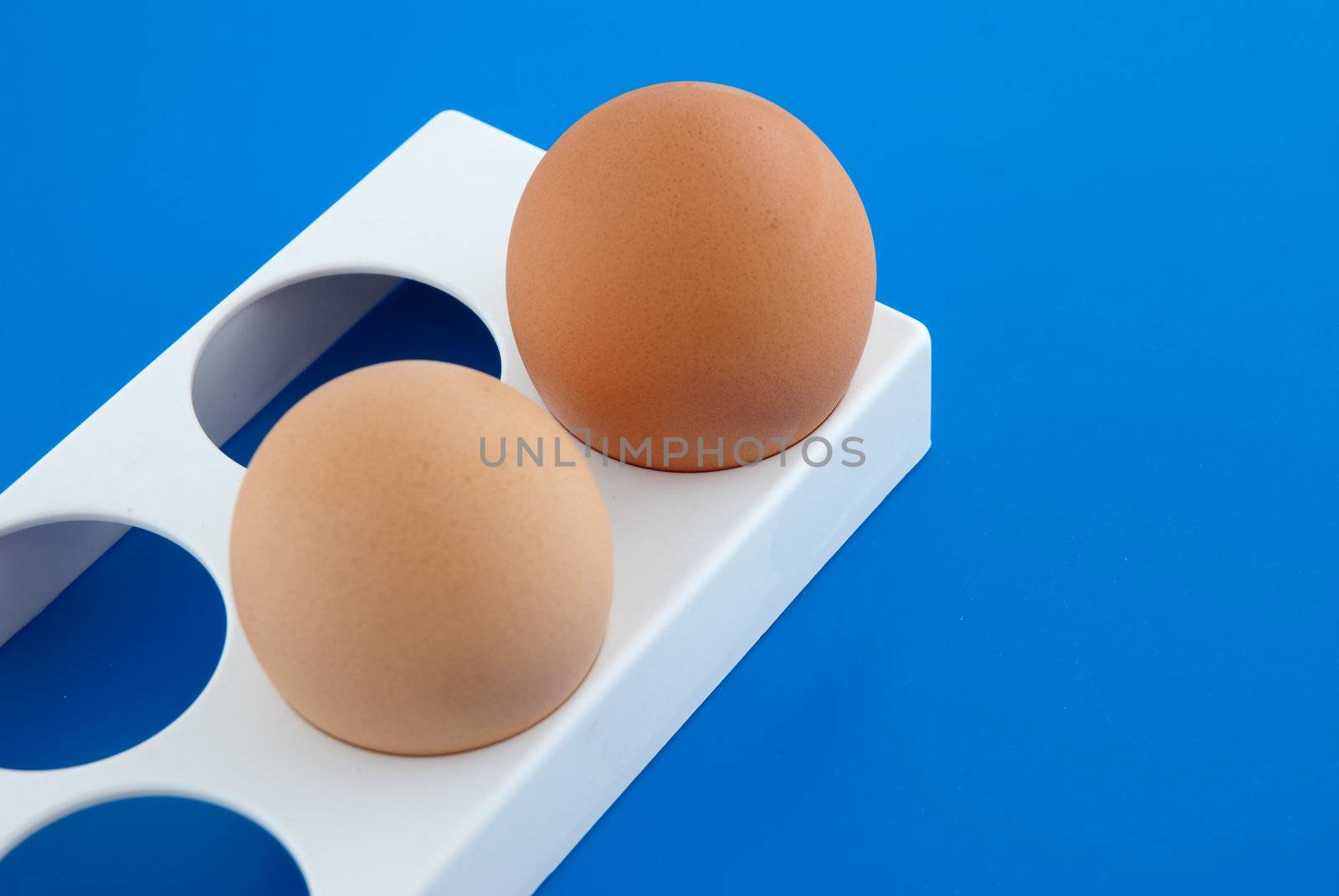 Two chicken eggs and white stand on a blue background.