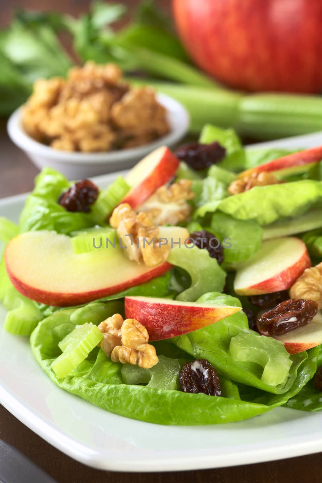 Fresh delicious home-made Waldorf Salad consisting of lettuce, apple, celery, walnuts, raisins and mayonnaise (Selective Focus, Focus on the apple, celery and walnut in the front) 