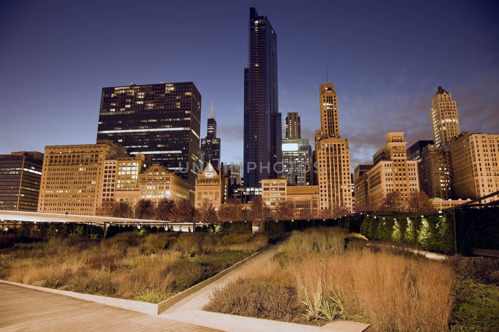 Prairie in downtown Chicago - seen evening time.