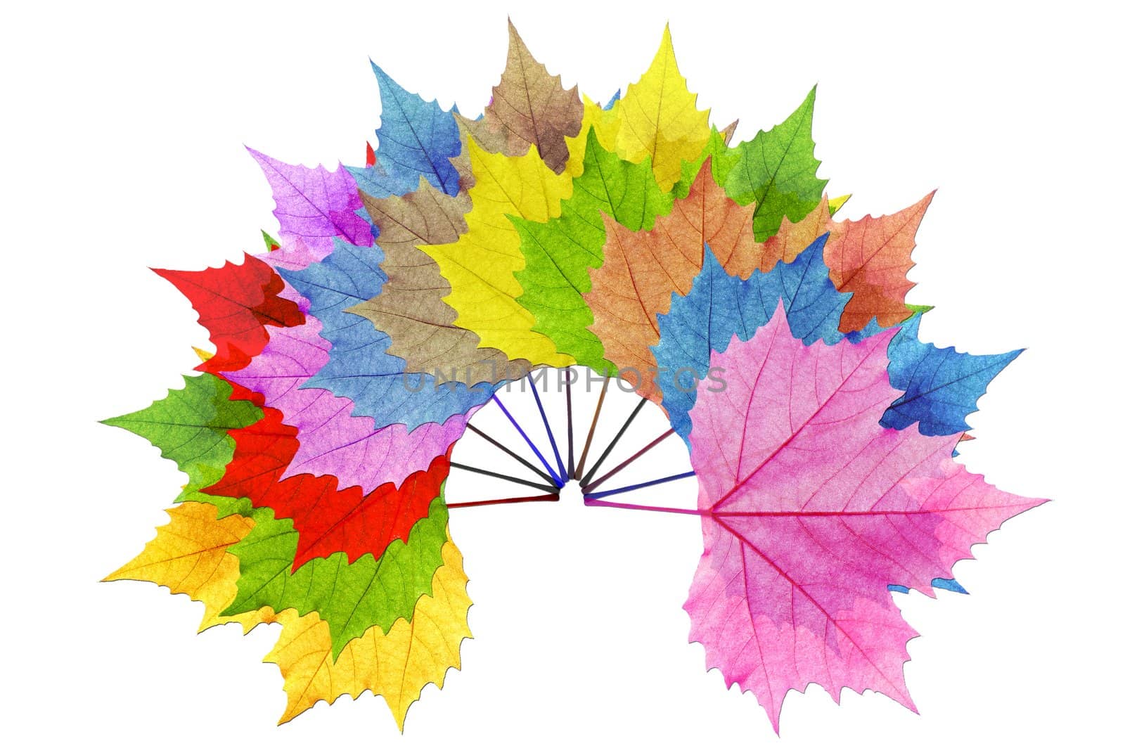 The multi-colored leaf overlay by photomtheart