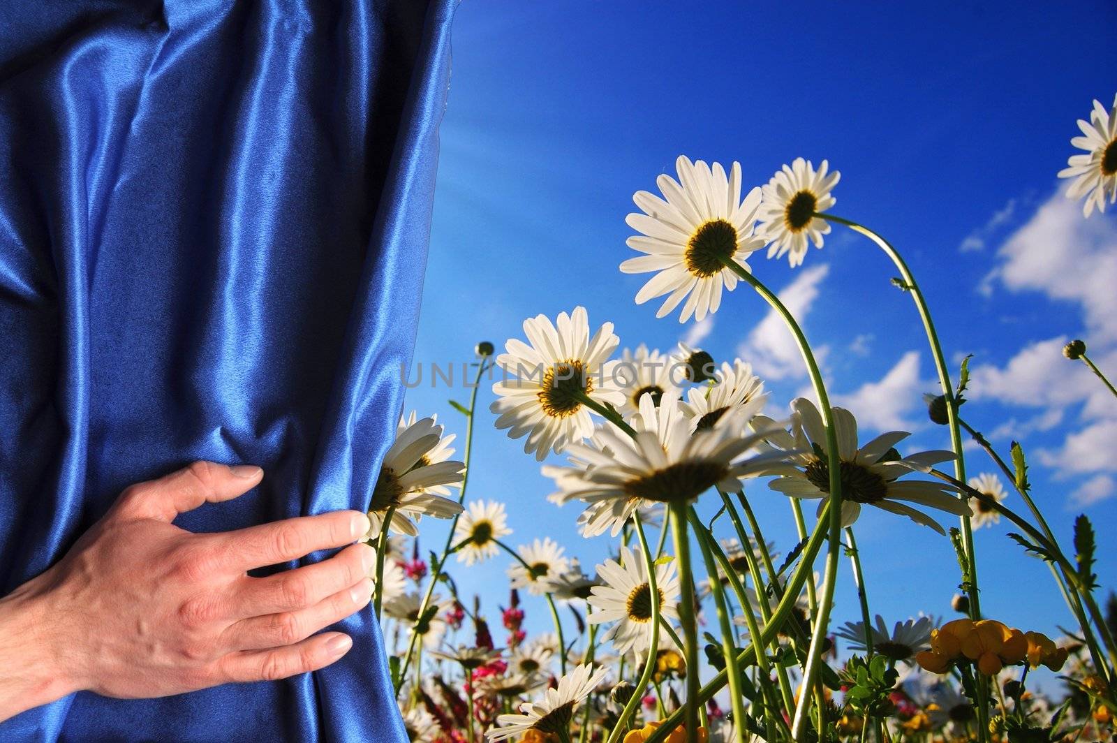 view to summer flowers behind a blue curtain showing happiness