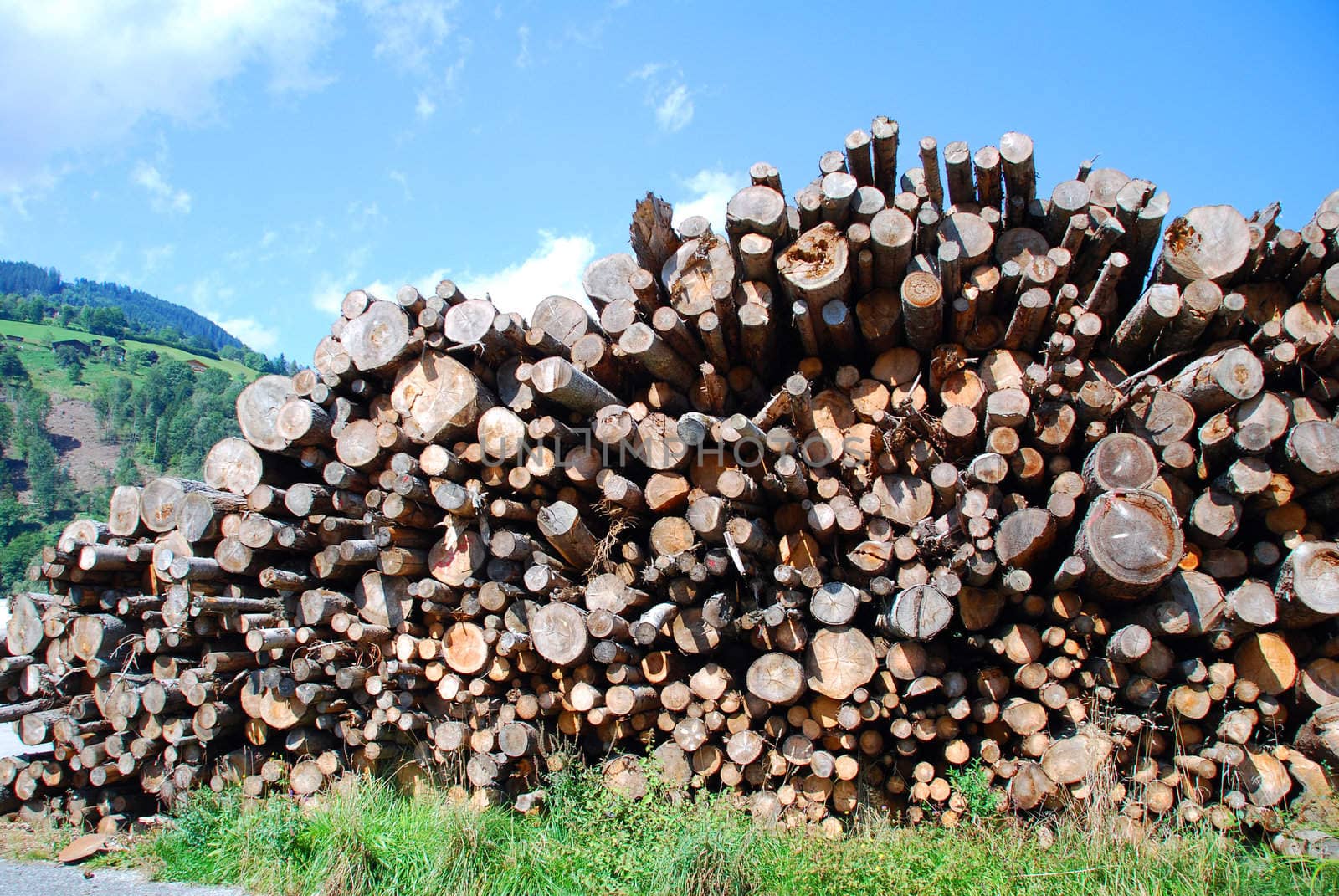 Shot of wood pile in austria beyond blue sky
