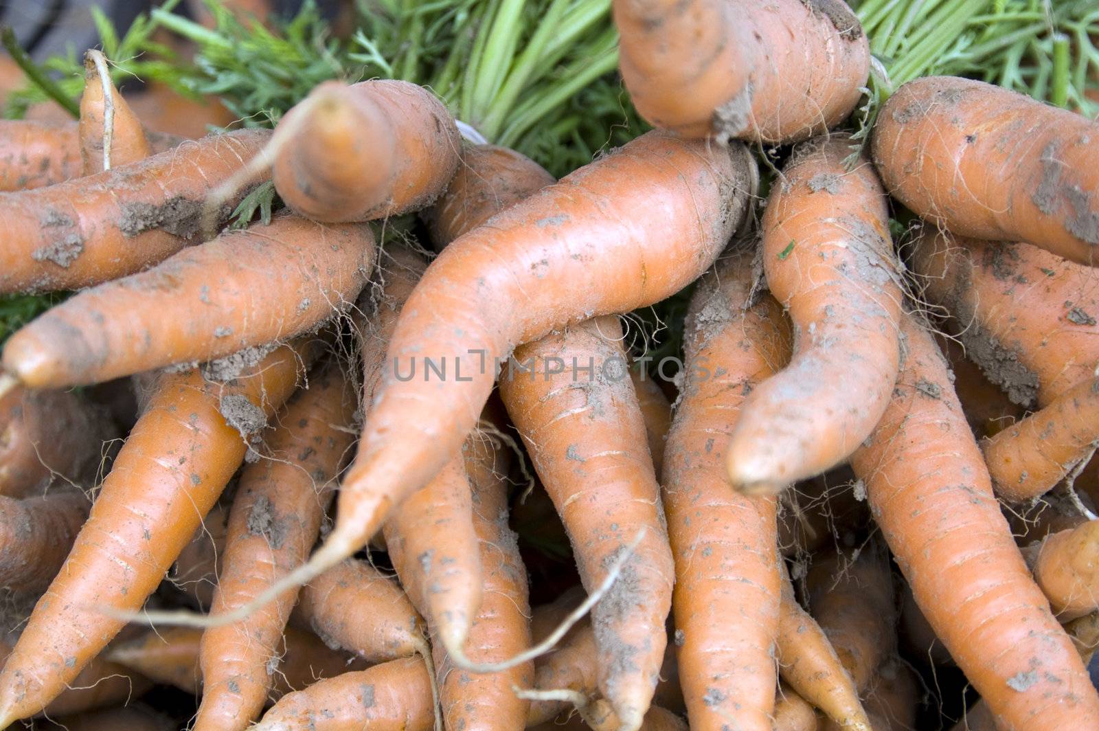 Shot of pile of carrots at french market