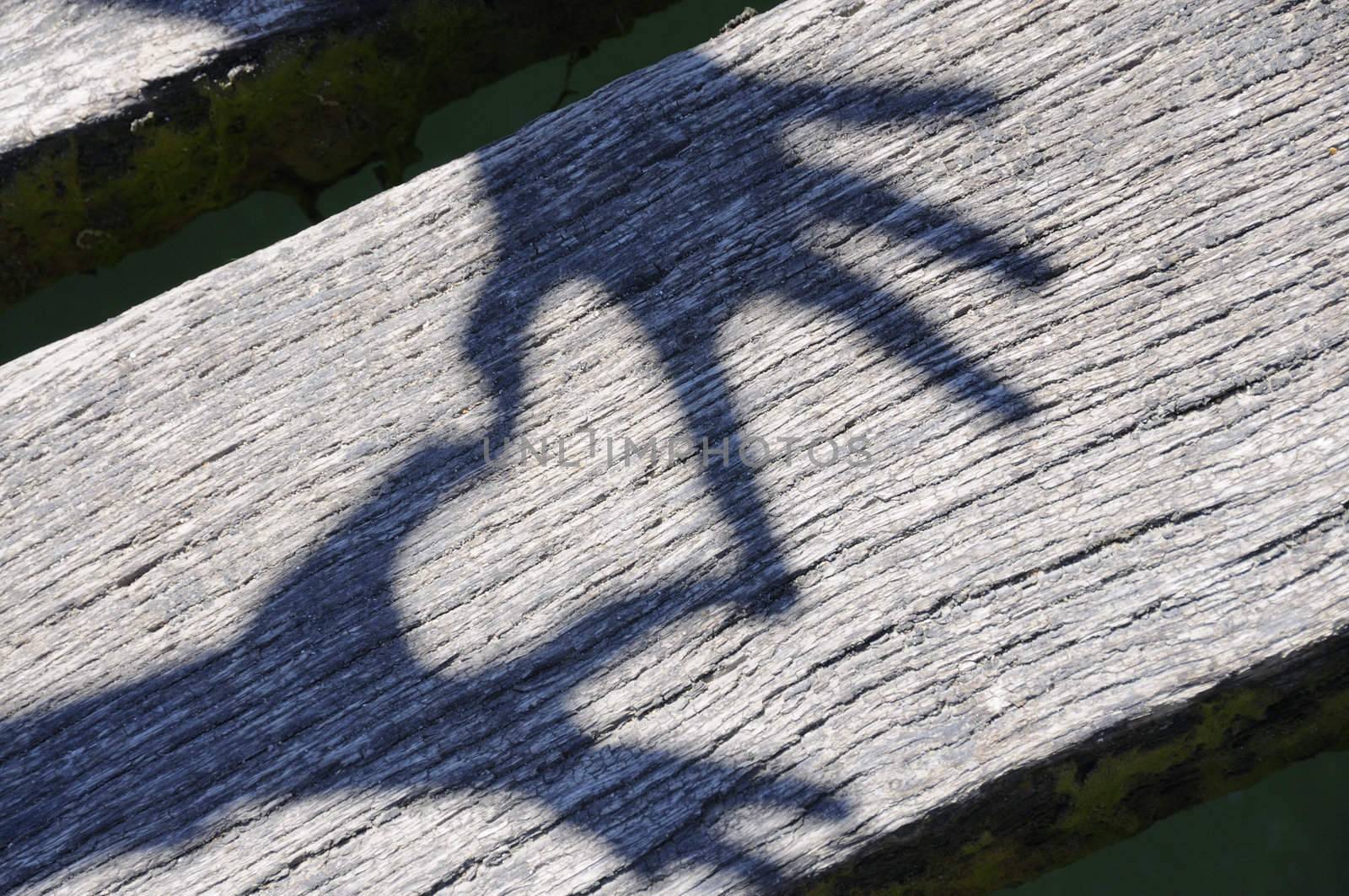 Shadow of hands forming heart on wooden planks.