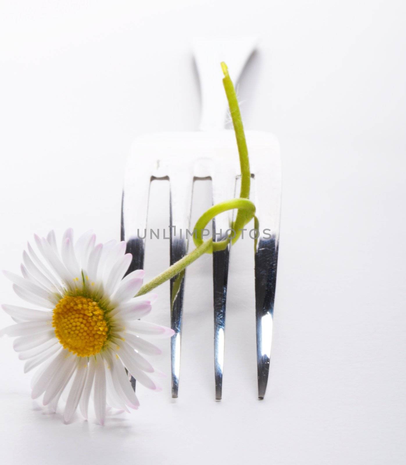 food concept with flower and fork on white table in summer