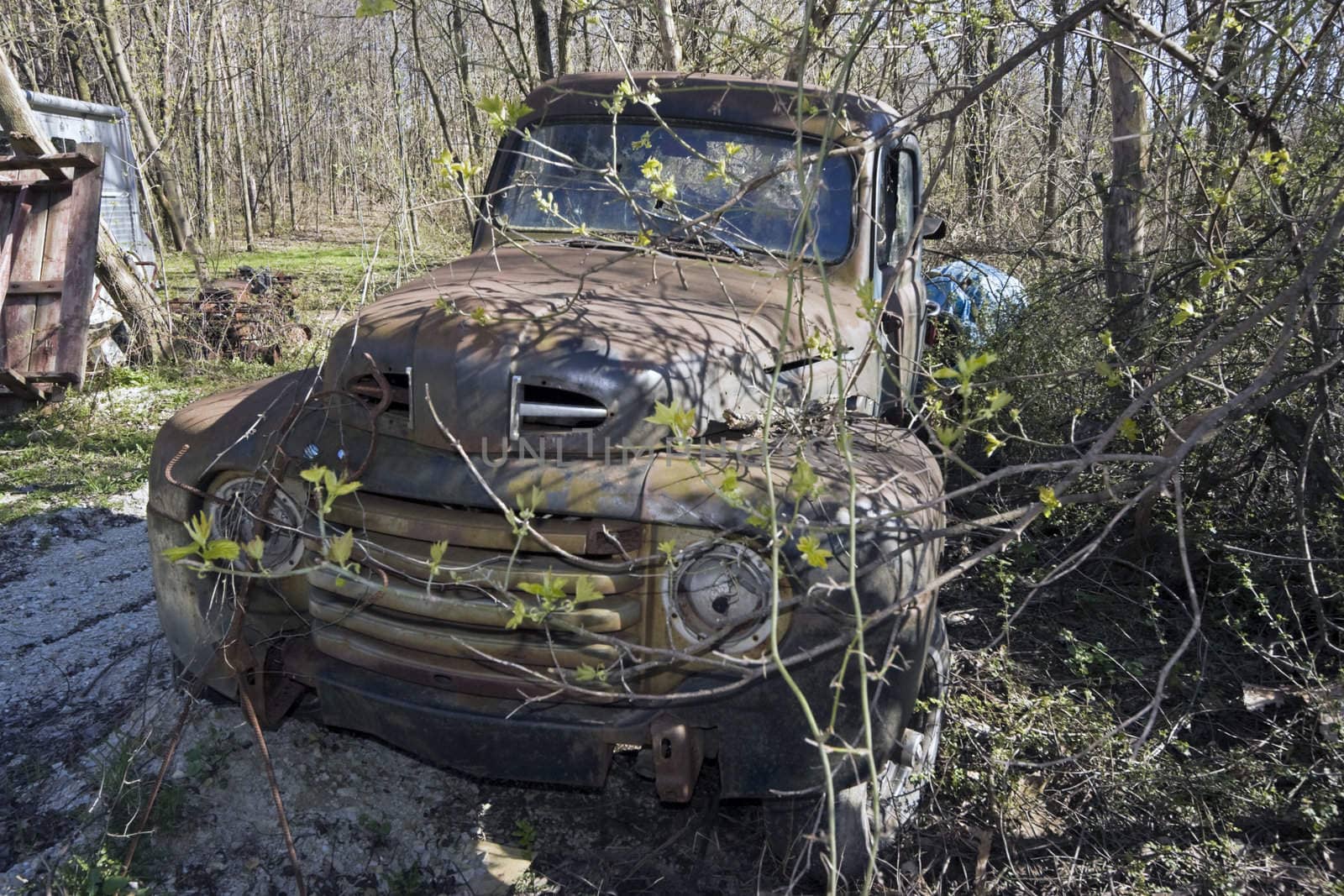 Car abandoned in the bushes.