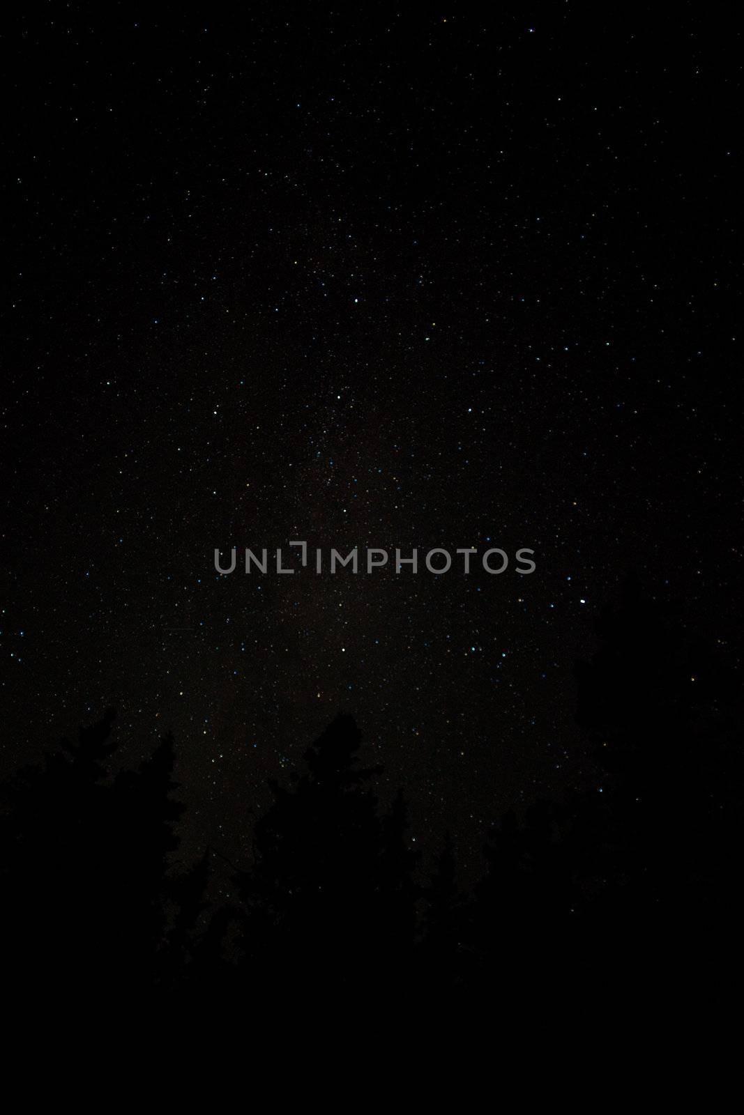 Night sky full of stars by PiLens