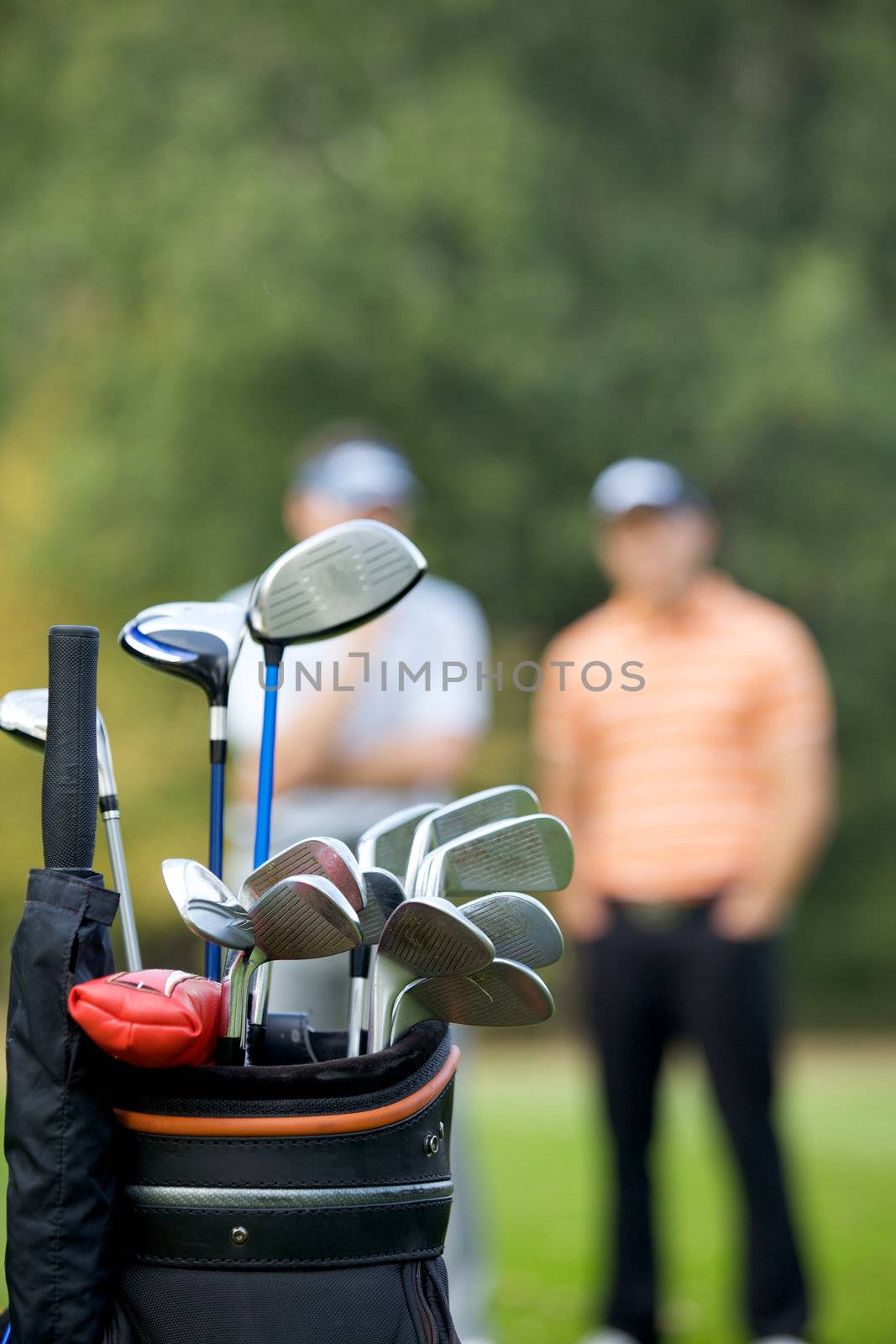 Golf clubs in bag at golf course