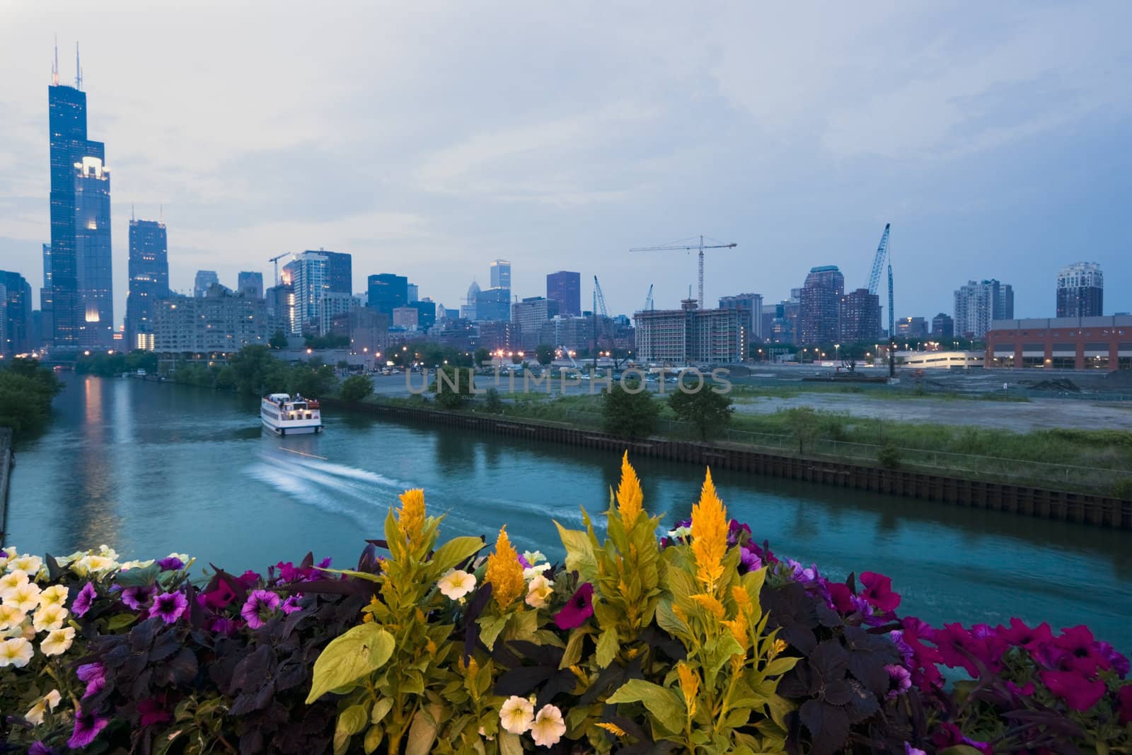 Downtown Chicago with colorful flowers in the fortground.