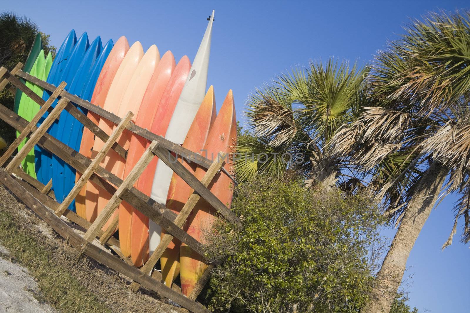 Colorful Kayaks for rent in Florida