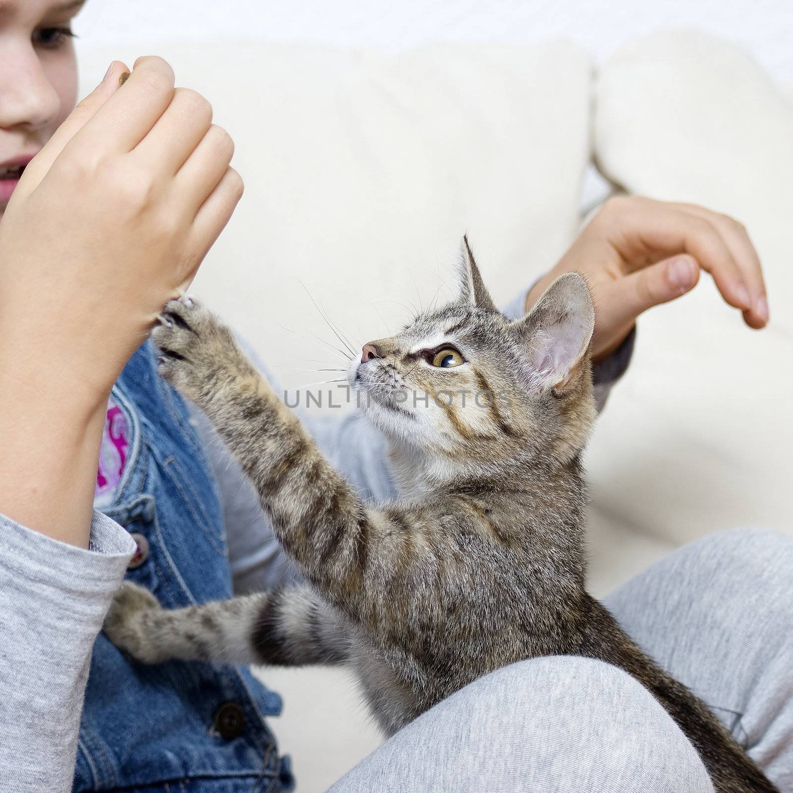 a girl is playing with a kitten by miradrozdowski