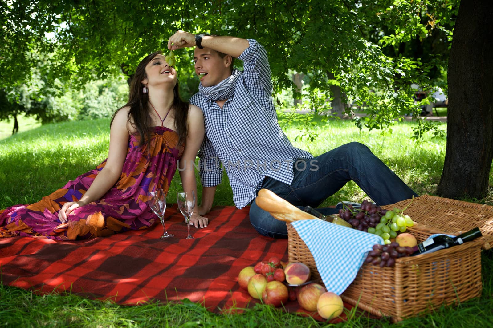 Young couple sitting on picnic blanket while boyfriend feeding