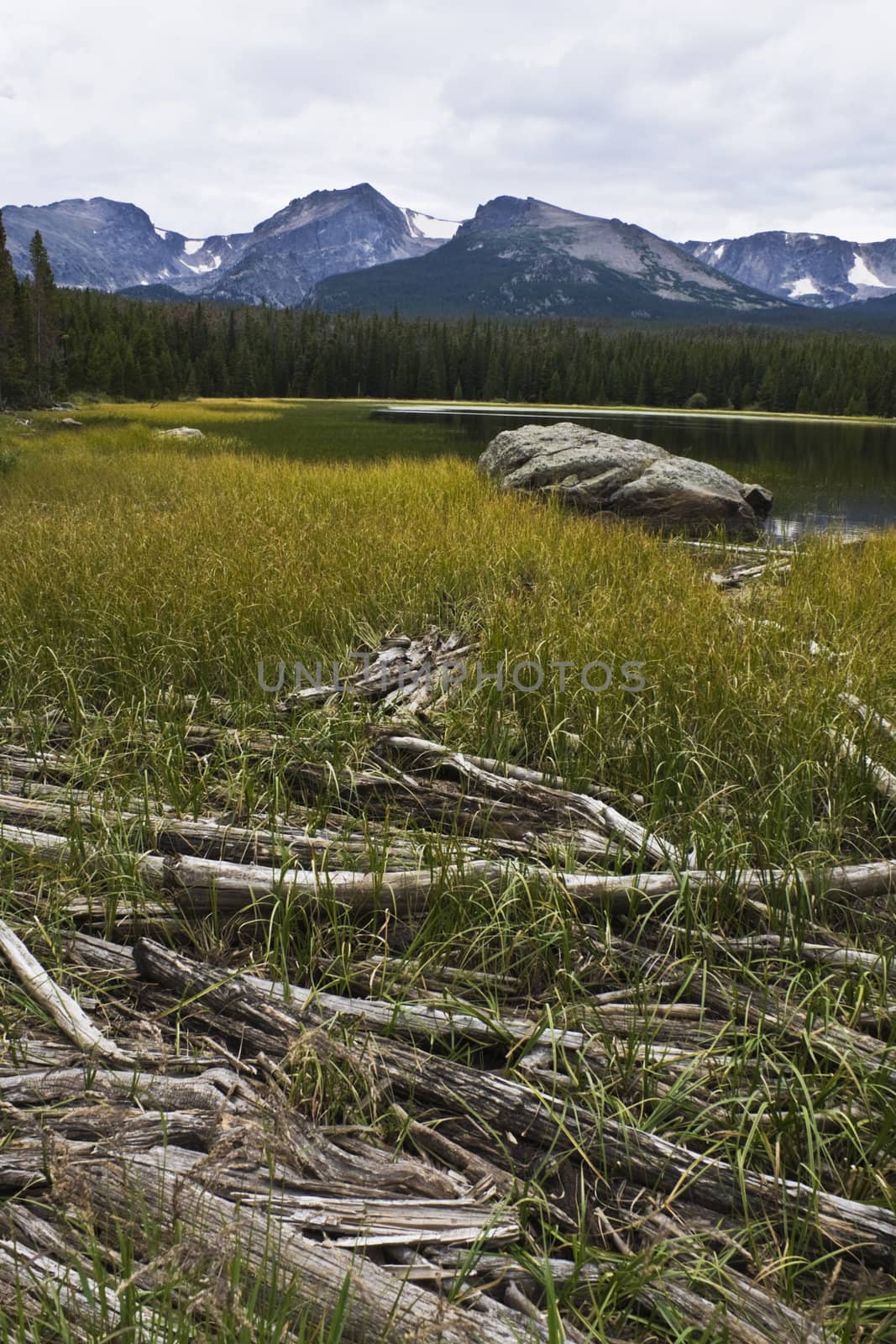 Landscape of Colorado - Rocky Mountain National Park