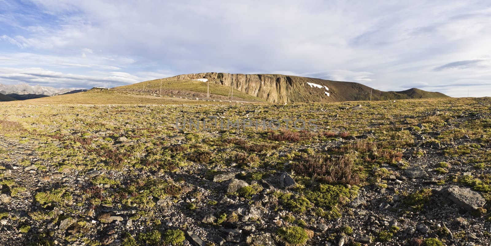 Colorful Tundra in Rocky National Park