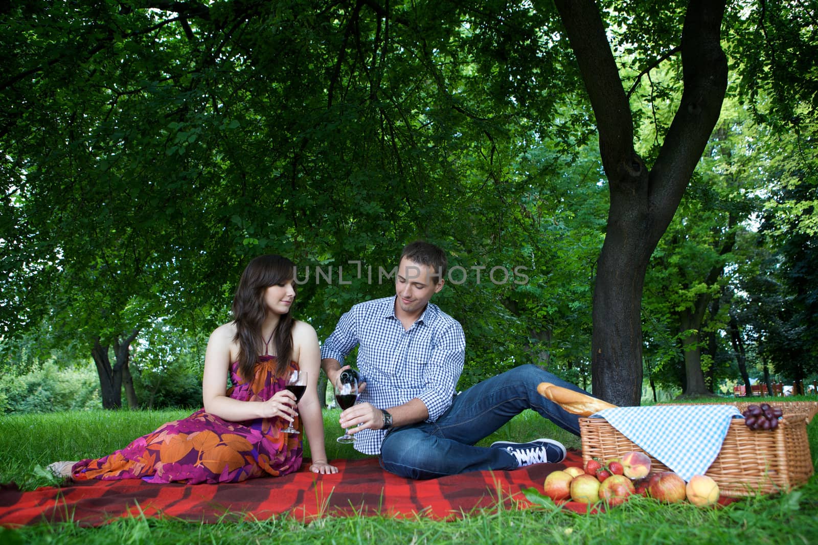 Man pouring wine to glass sitting next to girlfriend in park