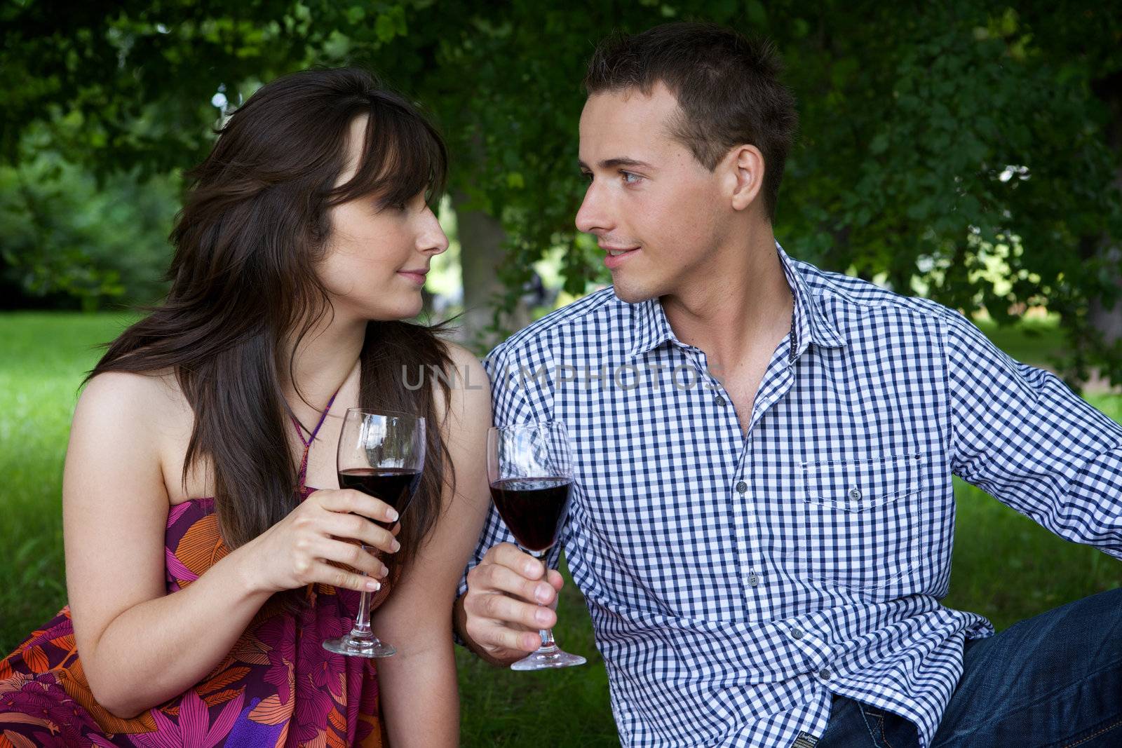 Young couple looking at each other and toasting wine in park