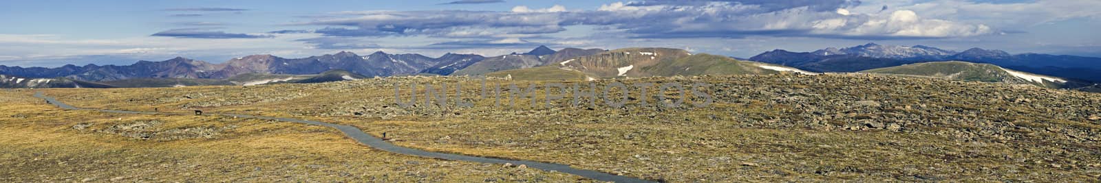 Tundra Trail - Rocky Mountain National Park