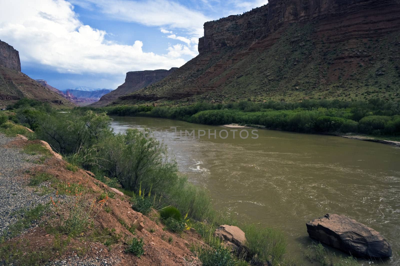 Rio Grande - Arches National Park area