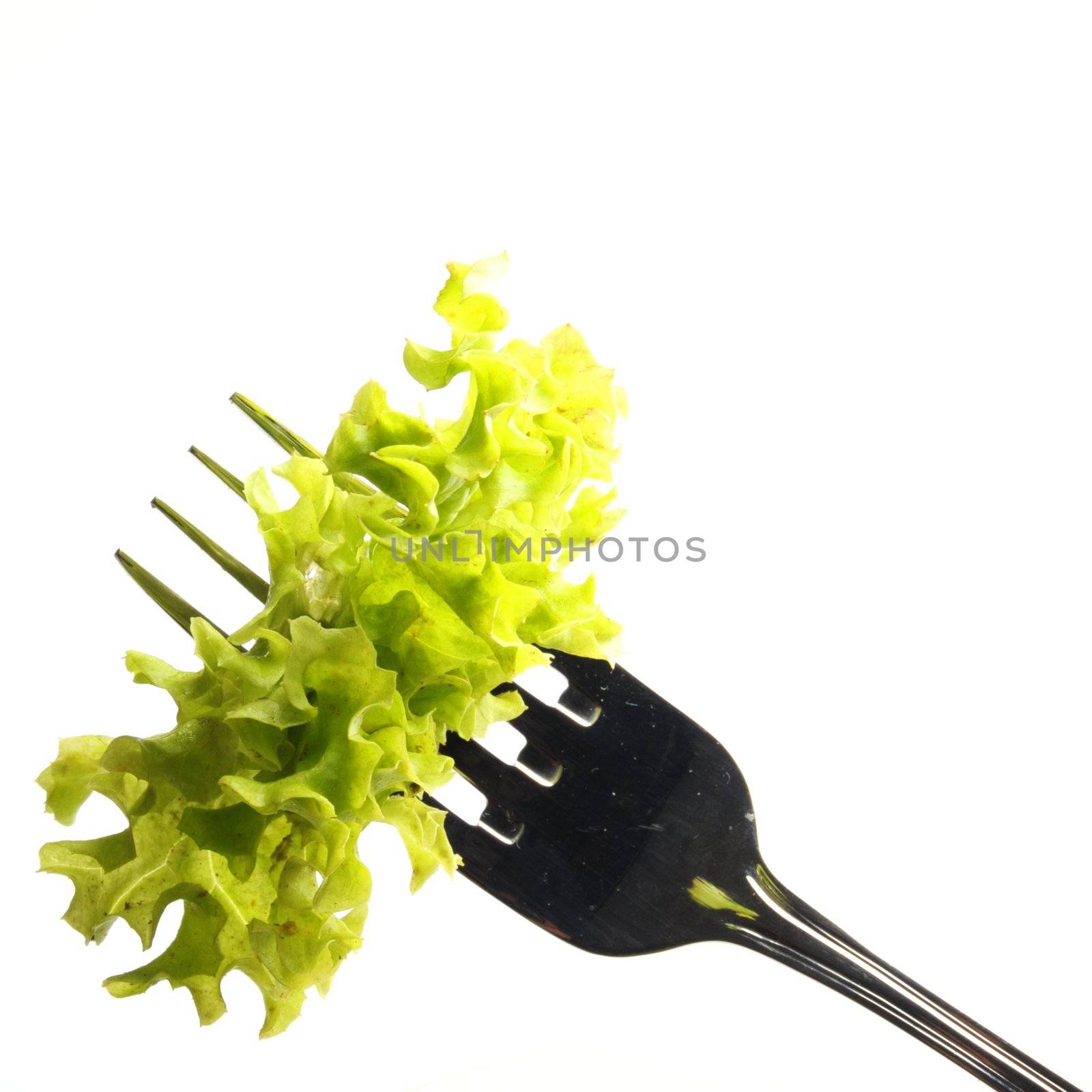 green salad and fork isolated on white background