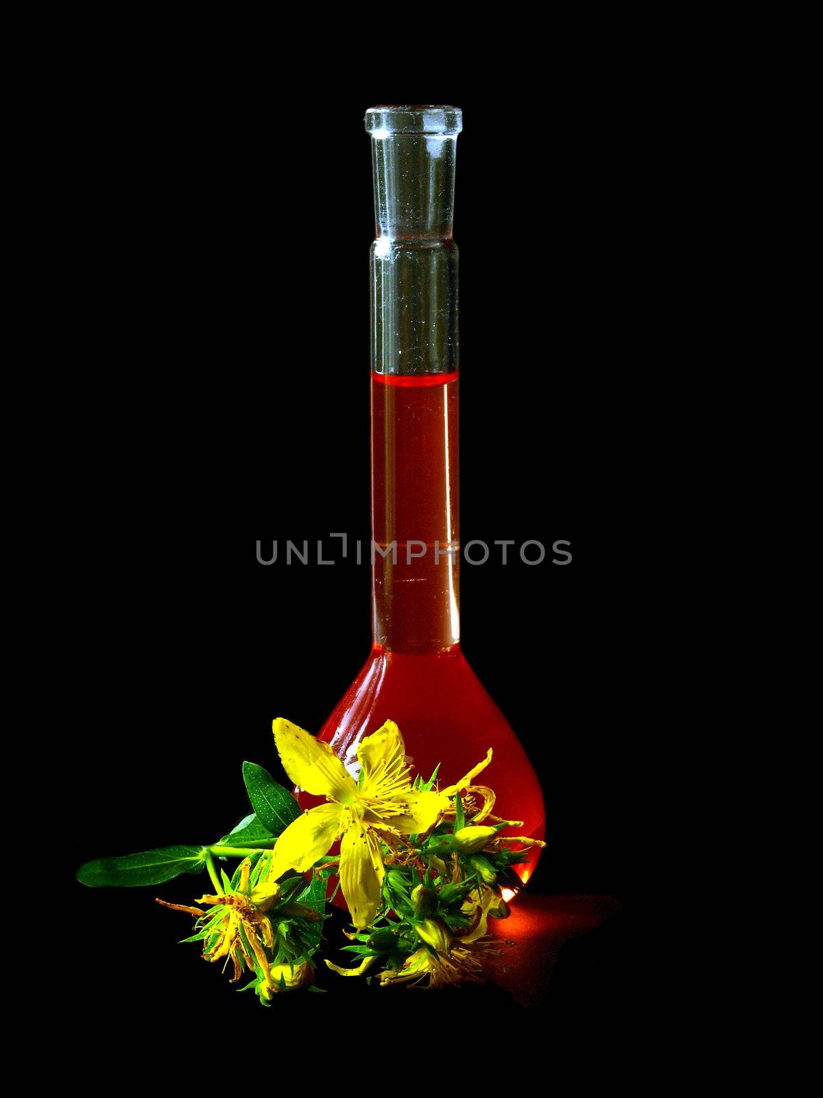 St. John's wort and it`oil