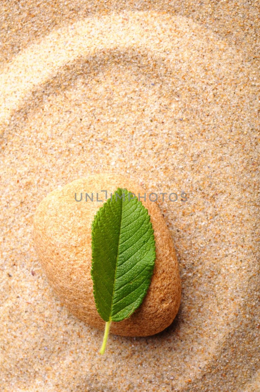 zen or spa concept with stone leaf and sand