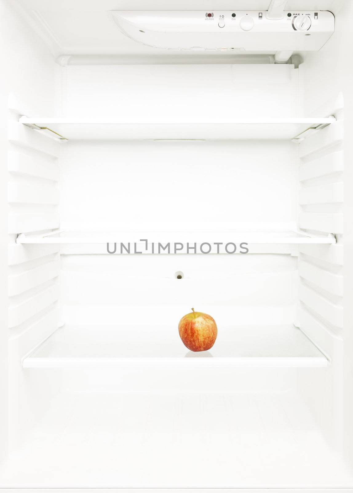 One Lonely Apple in the regrigerator